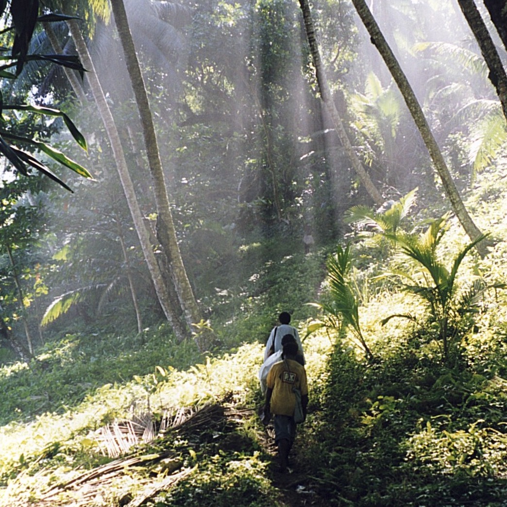 Where the road ends, New Guinea Art, Oceanic Art, South Pacific Art, Tribal Art