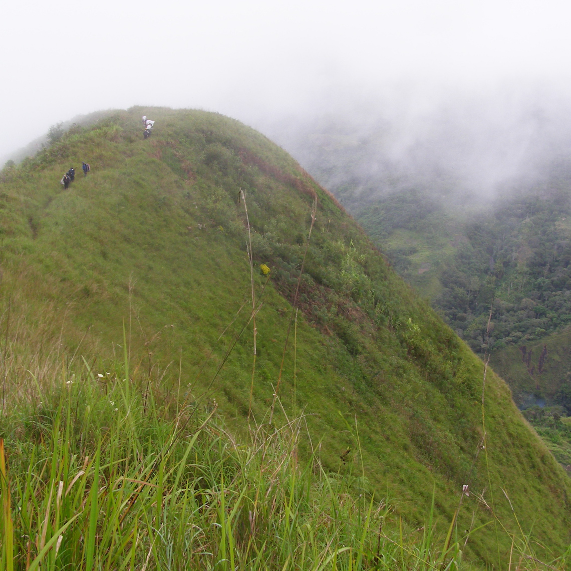 Steep Slopes of Finisterre Mountains, Field Collecting New Guinea Art.