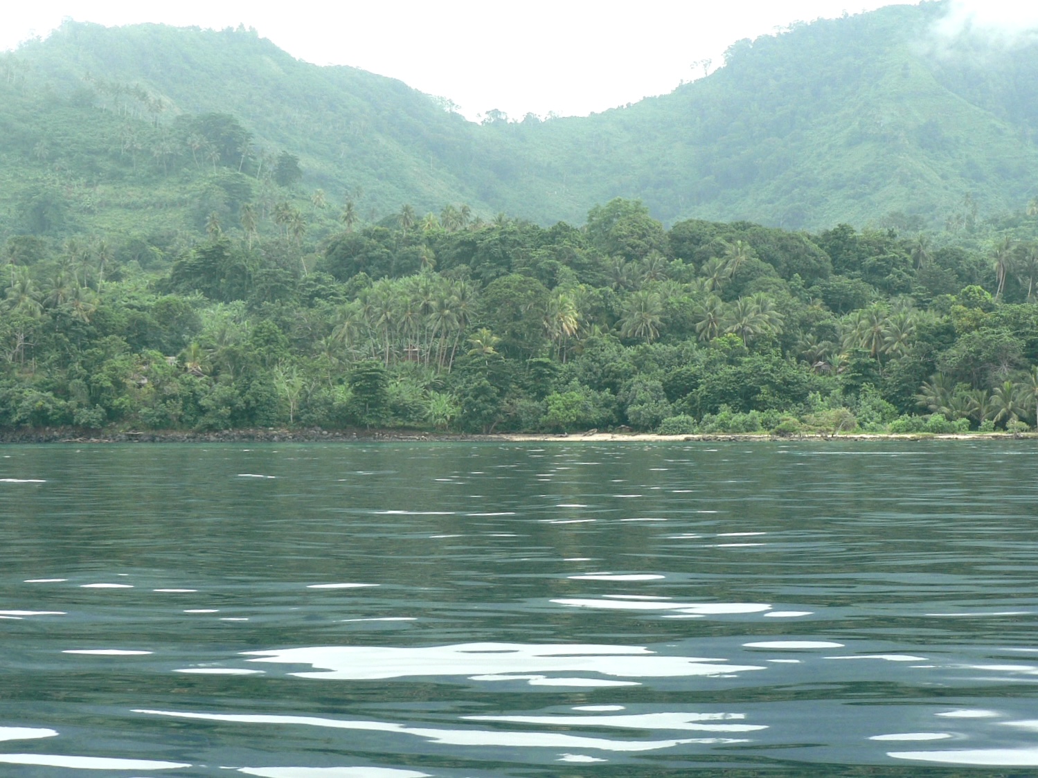 Oro Province coast, Papua New Guinea, circa 2007.
