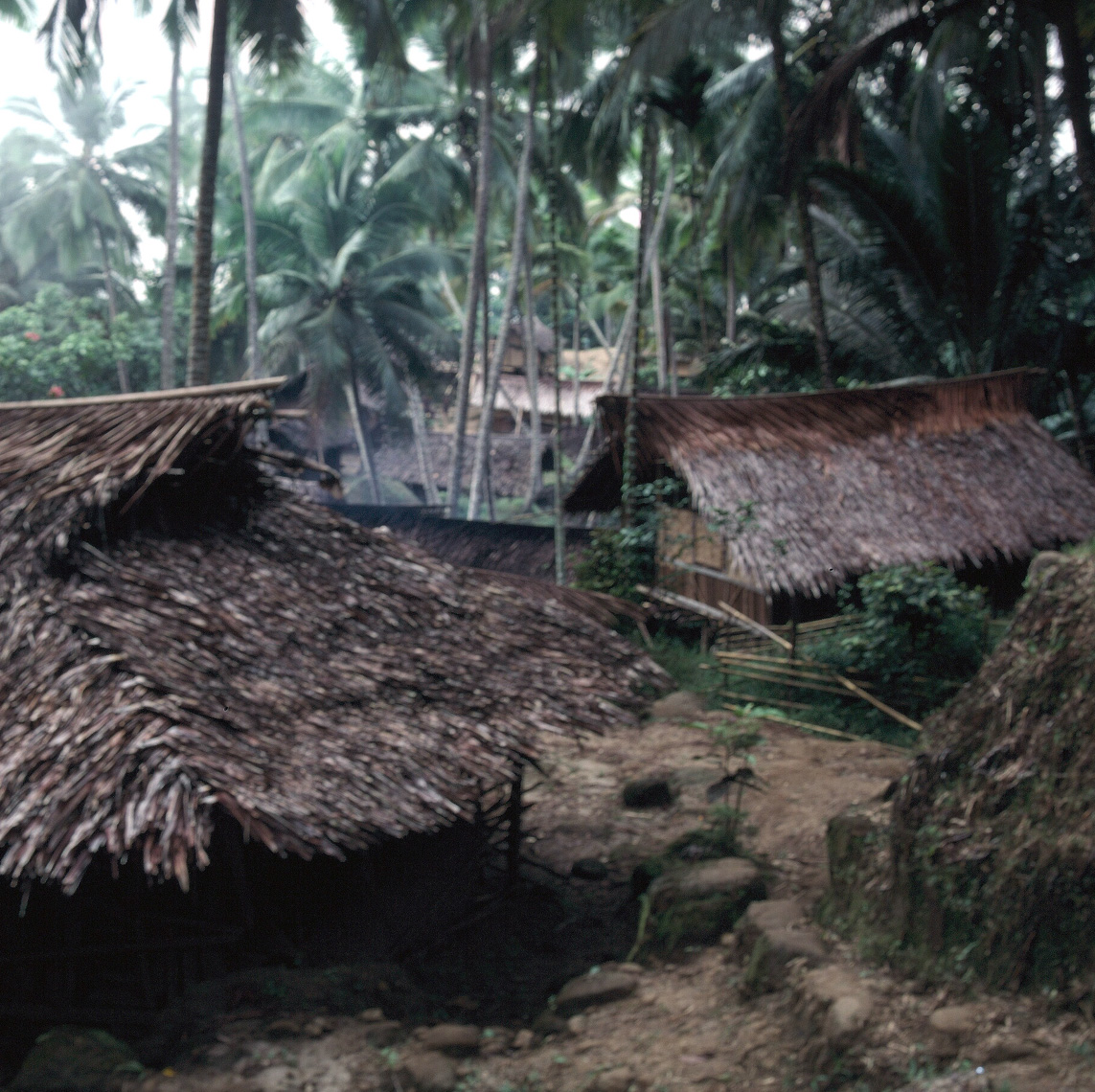Typical West Sepik village, Torricelli Mountains, Papua New Guinea—circa 1998.