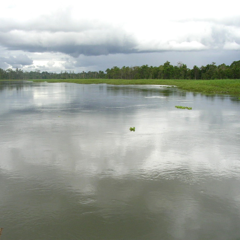 Heading up the mouth of the Musa River, Oro Province, Papua New Guinea.  Storm clouds in the distance portend a vastly different situation up ahead.  The river will flood, swell with mud and uprooted trees and make travelling upstream impossible.  But for now, smooth sailing, circa 2005.