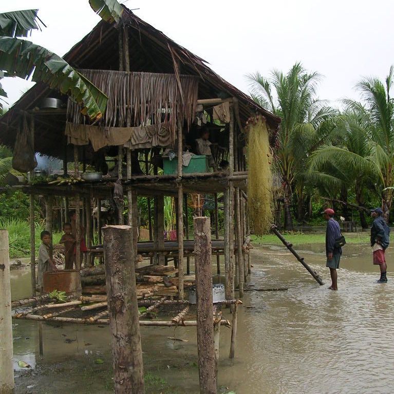 After a rainstorm, Collingwood Bay area, Oro Province, Papua New Guinea, circa 2005.