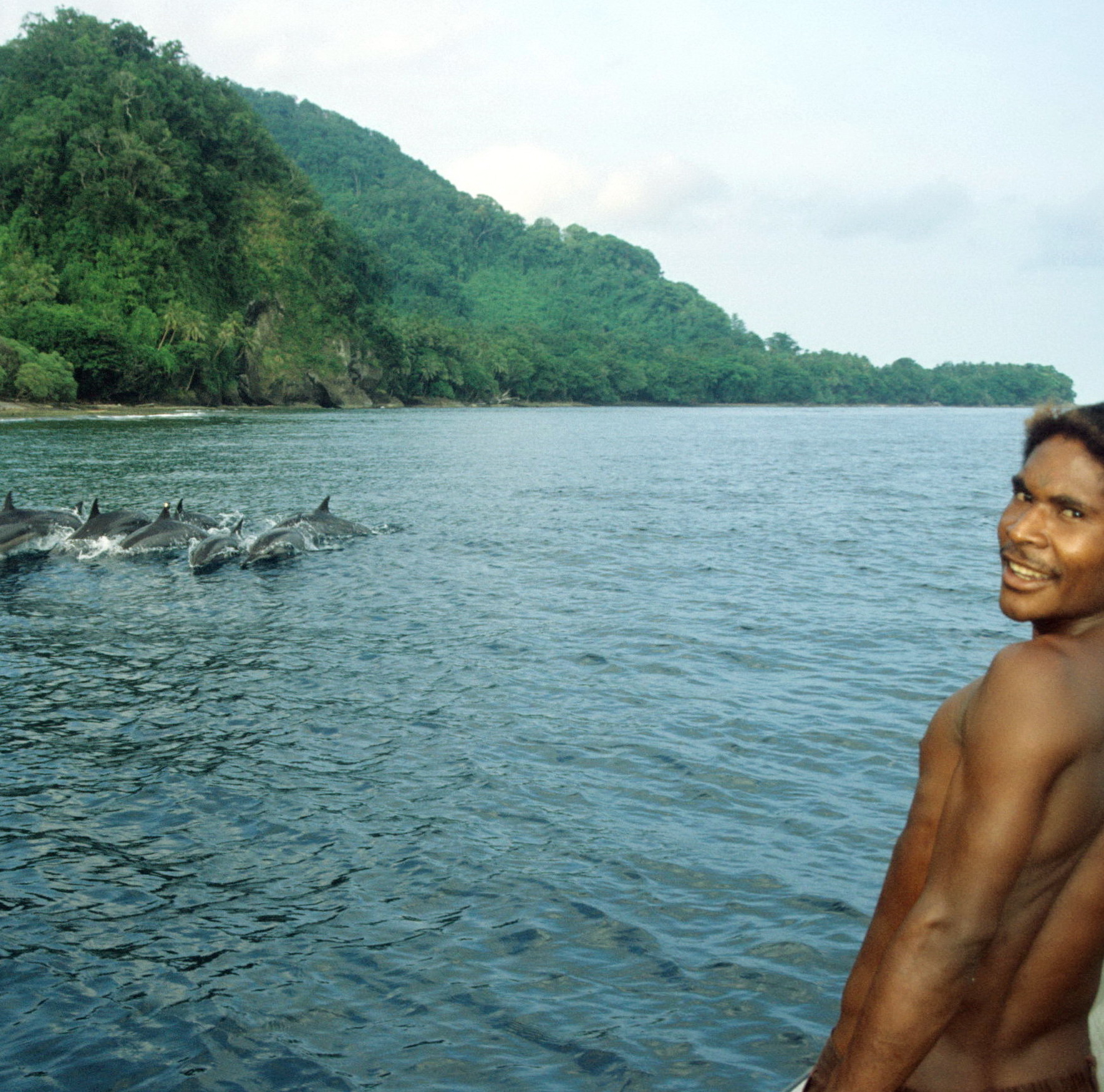 Vokeo Island Dolphins, New Guinea Art, Oceanic Art, Tribal Art, South Pacific Art
