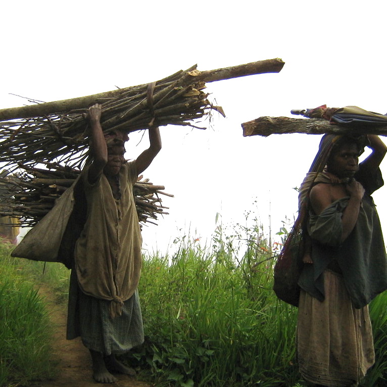 Collecting Firewood Finisterre Mountains, New Guinea Art, Oceanic Art, Tribal Art, South Pacific