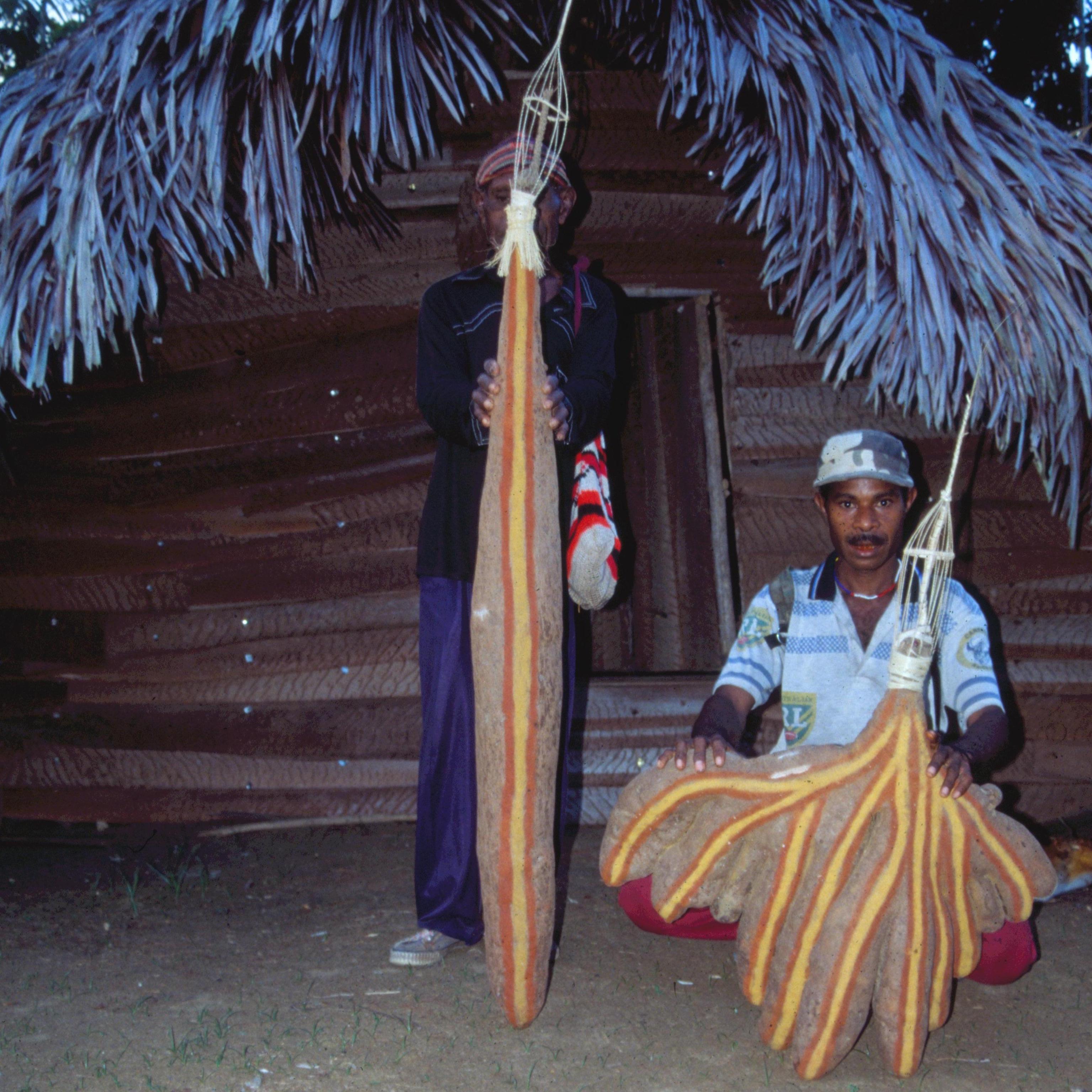 Long Yams, Ilahita Arapesh, New Guinea Art, Oceanic Art, Tribal Art, South Pacific Collecting