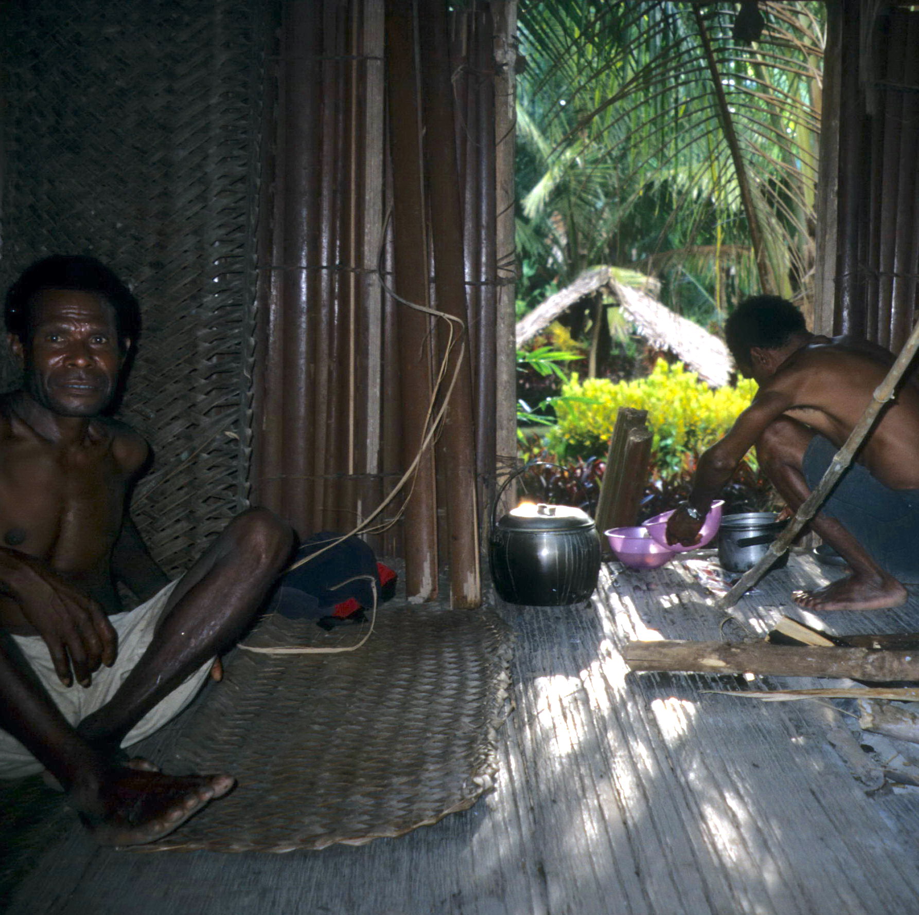 Village Domestic Scene, Field Collecting New Guinea Tribal Art