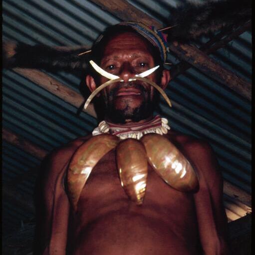 Man with Shell Necklace & Nosepieces, Simbai Area, New Guinea Tribal Art in Context