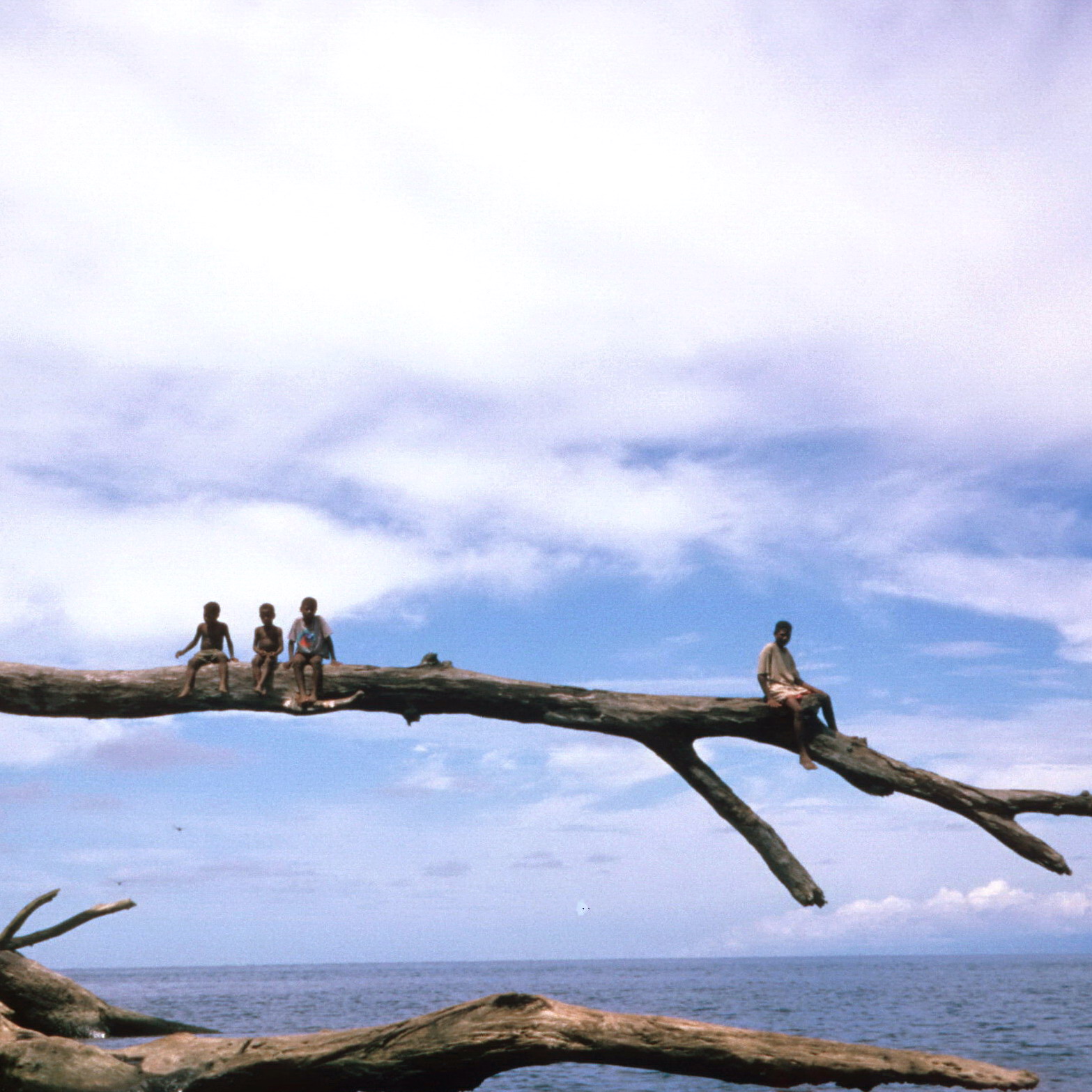 Kids Sitting on Tree Limb over Ocean, Oceanic Art from the South Pacific in Context
