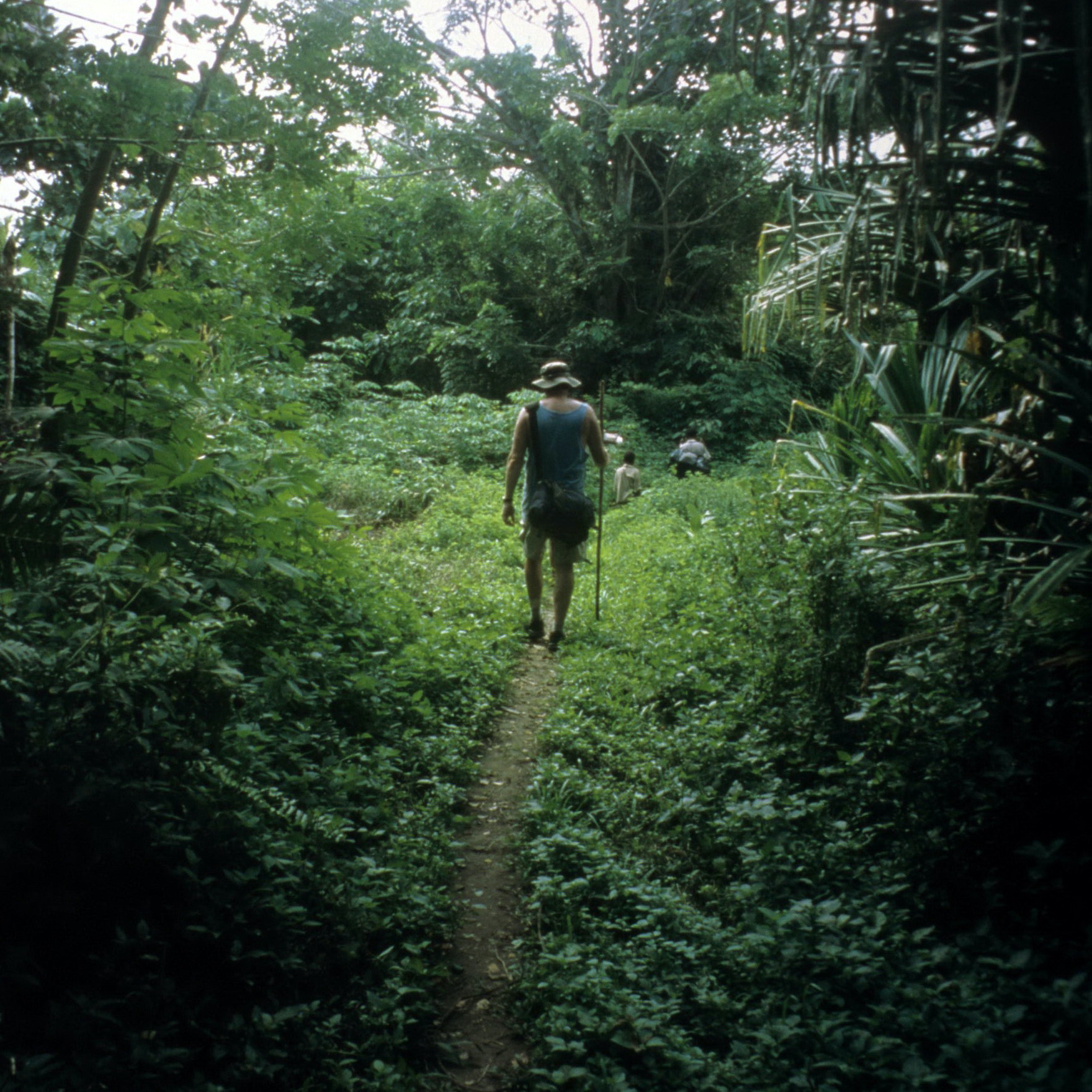 Michael Hamson Heading Out For Another Day Field Collecting New Guinea Art