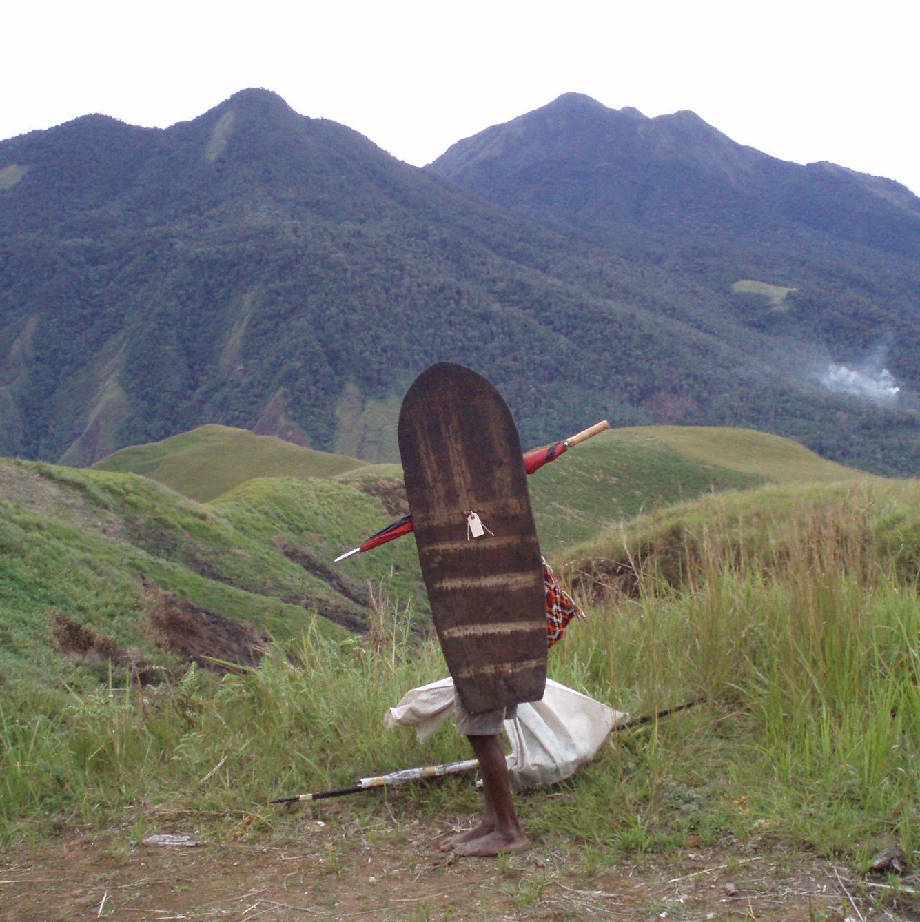 Manyamya Man with Shield, New Guinea Art, Oceanic Art, Tribal Art, South Pacific shield