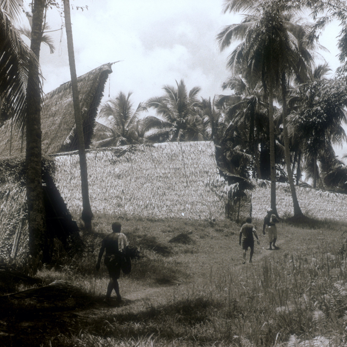 Walking Into Abelam Village With Tall Ceremonial House, Collecting New Guinea Art