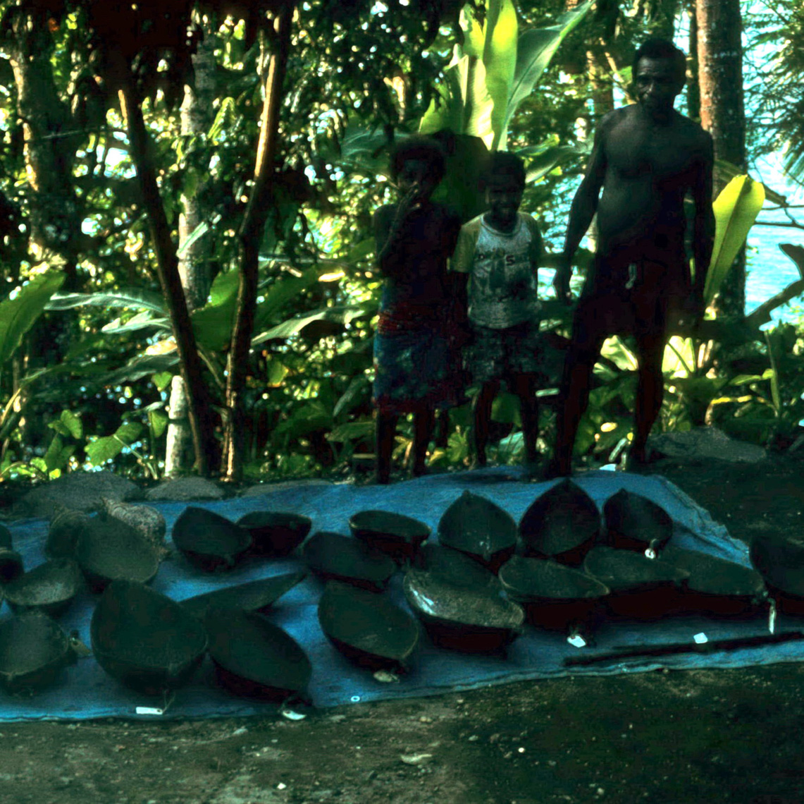 Nice Haul of Schouten Island Wooden Bowls, Field Collecting New Guinea Art