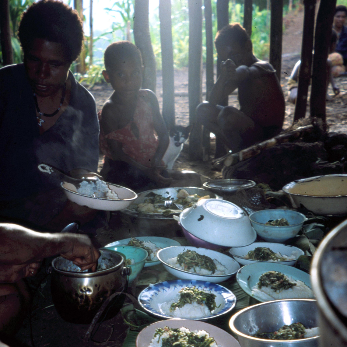 Serving Out Supper, New Guinea Village Scene, New Guinea Art Field Photo