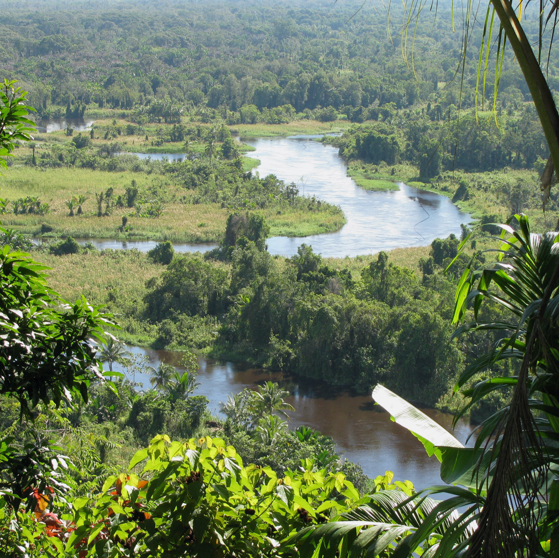 Musa River, Looking for Great New Guinea Art