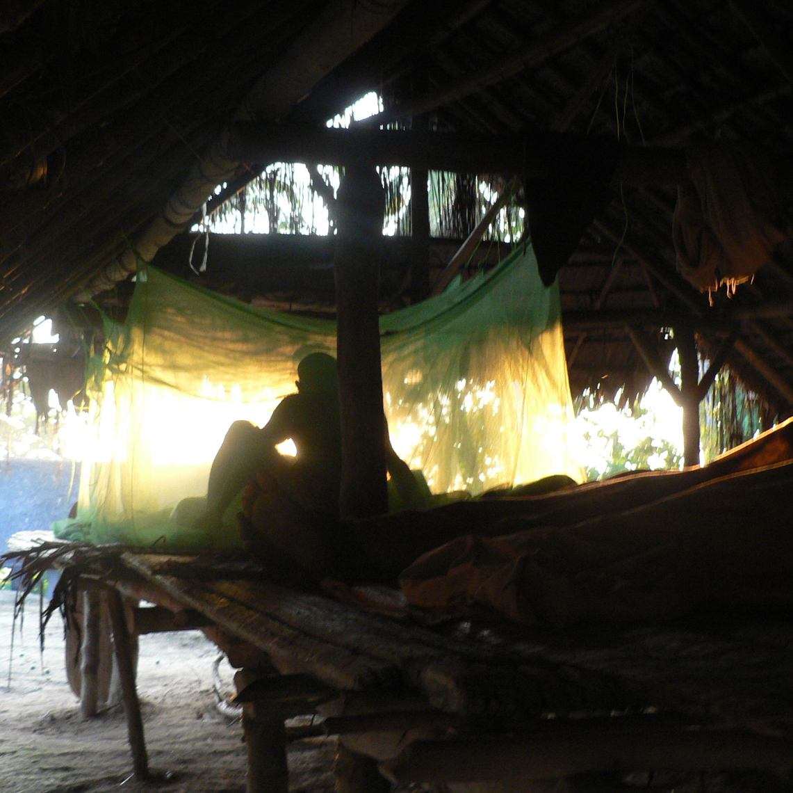 Mosquito Net Strung Up, Field Collecting New Guinea Art